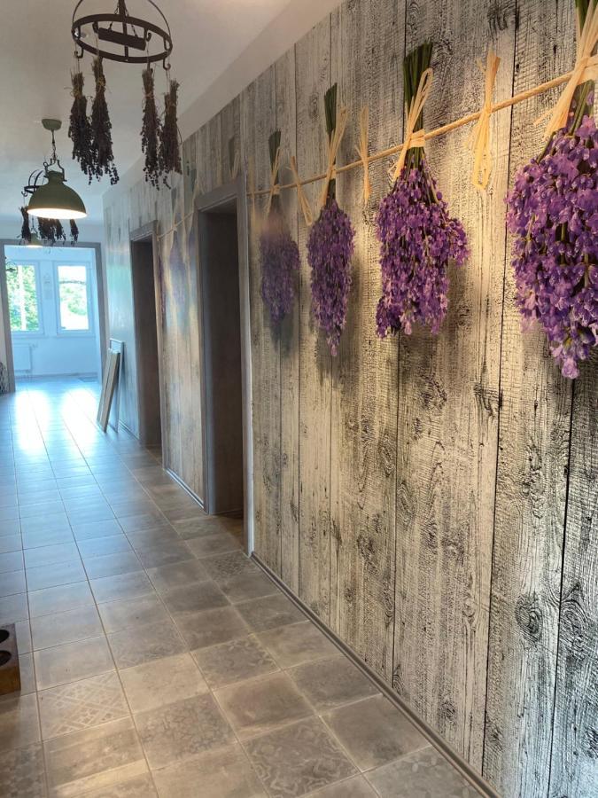 La Maison Pritzwalk - Bett & Bike Zewnętrze zdjęcie
